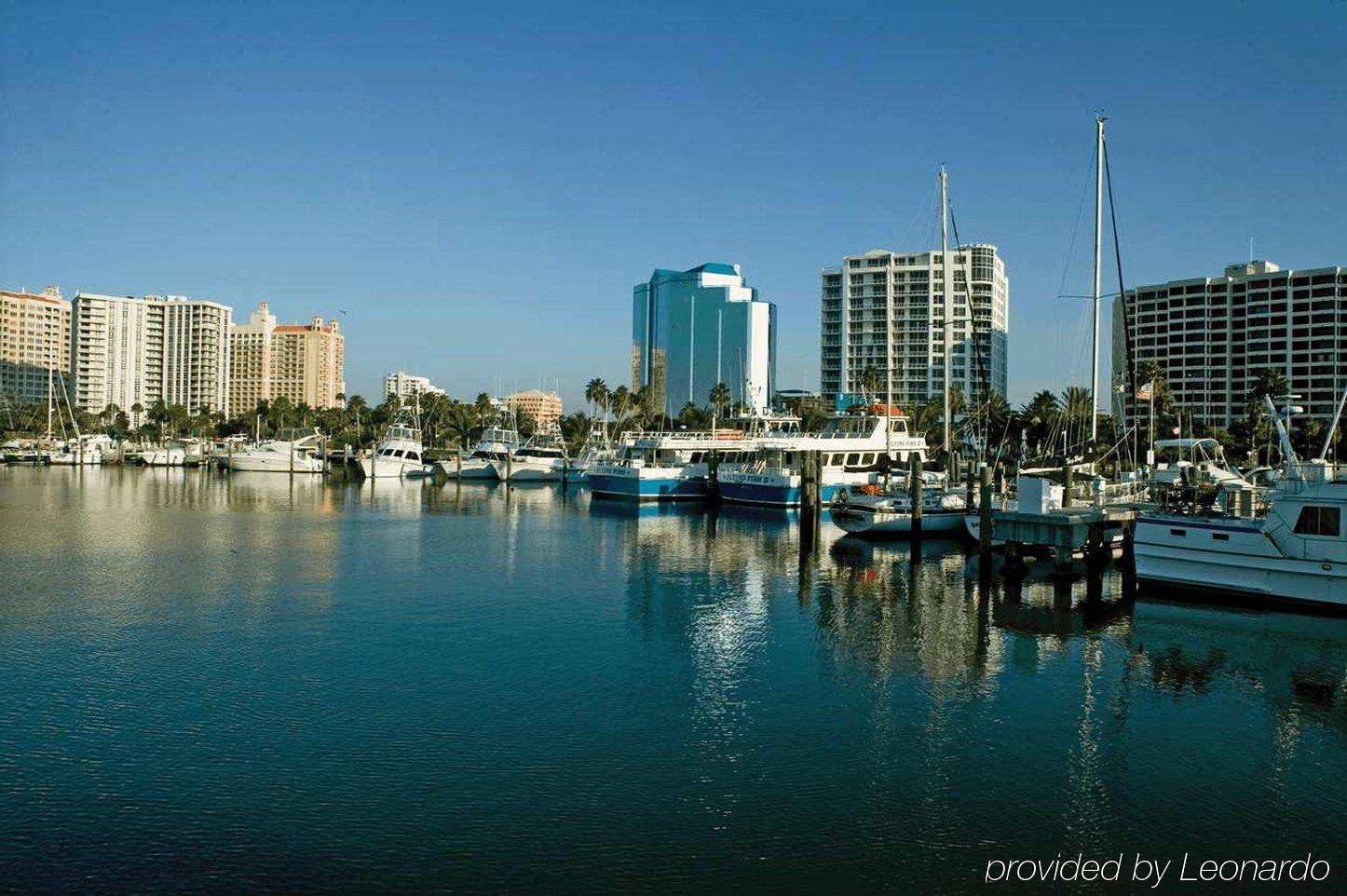 Hilton Garden Inn Sarasota-Bradenton Airport מראה חיצוני תמונה
