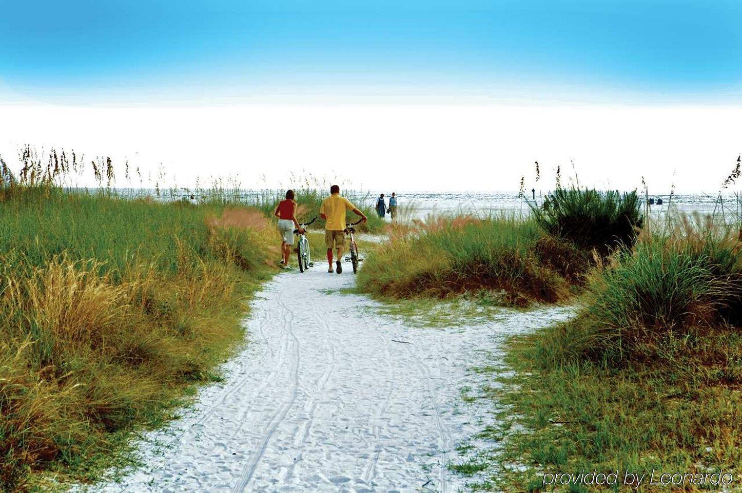 Hilton Garden Inn Sarasota-Bradenton Airport מראה חיצוני תמונה