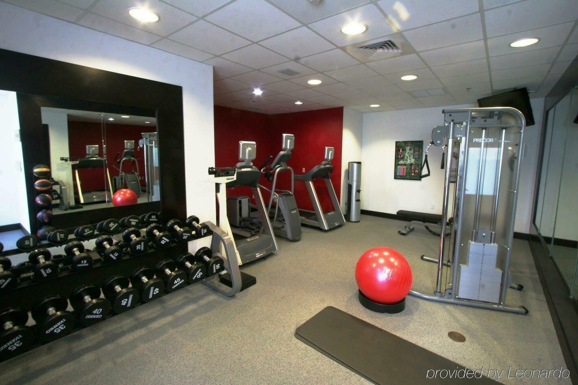 Hilton Garden Inn Sarasota-Bradenton Airport מראה חיצוני תמונה